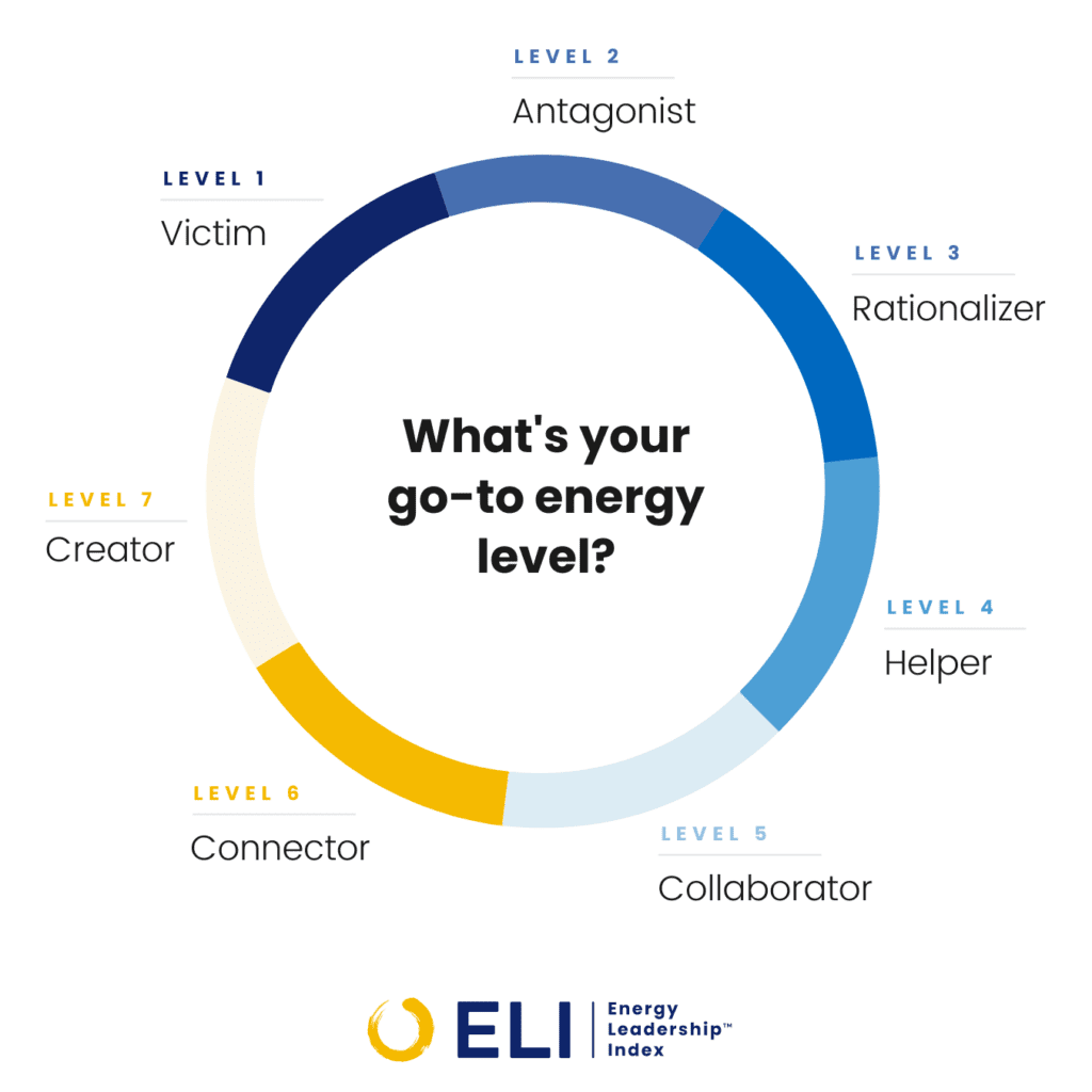 Energy Leadership Index